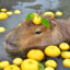 Sir Moisty Capybara