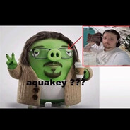 qp