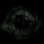 Purpura_Polypus