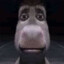 donkey