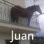 Juan