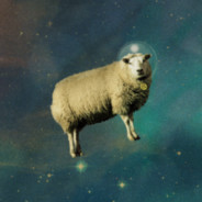 spacesheep