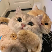 我有故事你有酒吗