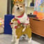 楚霸天