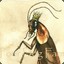 KingRoach