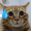 Canorus.Dragneel