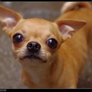 我就是喜欢坑队友