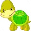 dturtle1