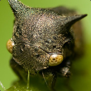 EarthInMan avatar