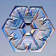 Etherfrost (冬のバラ) - steam id 76561198083281663