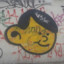 javo01