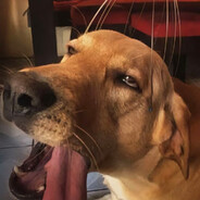 手感好时能杀两个.