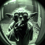 bakkii avatar