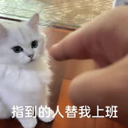 水蜜桃女子会所(膝胸位指诊接教学