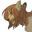 Werewolf Pawjob