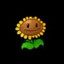 Solsa00