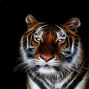TigerNinja - steam id 76561197961806453