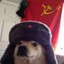 Dog Soares