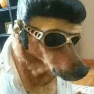 某豆著名男演员