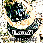 кчау - steam id 76561199508259237