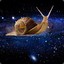 [FOTD]The_Ineffable_Snail