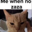 zaza