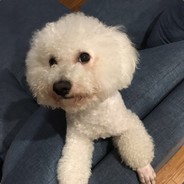 阳阳仔吃鸡666