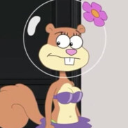 松鼠指挥官珊迪