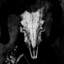 DARKDEATH