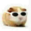 qee