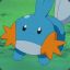 Mudkip