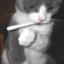 SmokerKitty