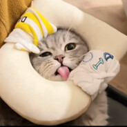 想吃东北雨姐大汗脚