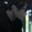 Zoom avatar