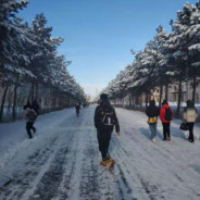 隔壁村花张老三