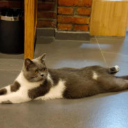 你妈买菜必涨价