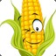 young corn%