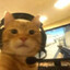 cs_kitka