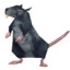 Ratatouille