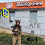 БОНЯРА