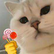 生活不易 家猫卖艺