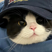 表达爱の抽象画