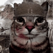 tomtomat0 avatar