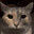 Tomo