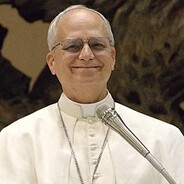 Pope Leo XIV.