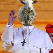 PAPA OVELHA COMEBACK