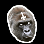 Kysseeriino's Steam avatar