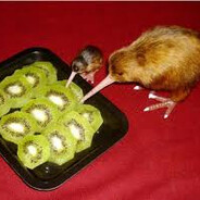 Kiwi