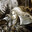 Volpone