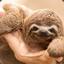 sloth3885